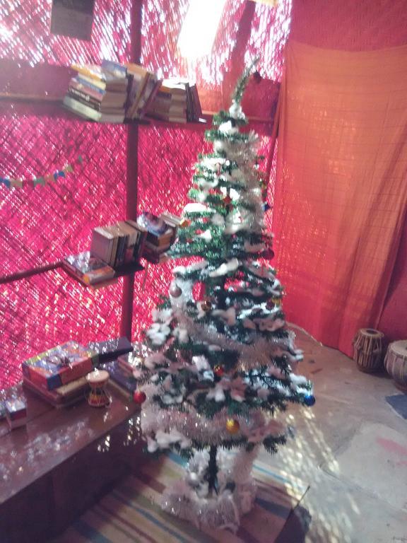 Bricks And Bamboo Hostel أنجونا المظهر الخارجي الصورة