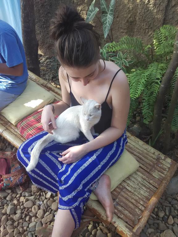 Bricks And Bamboo Hostel أنجونا المظهر الخارجي الصورة